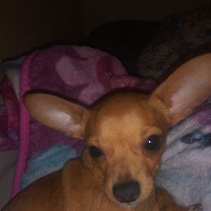 Meet your Posher, Andrew